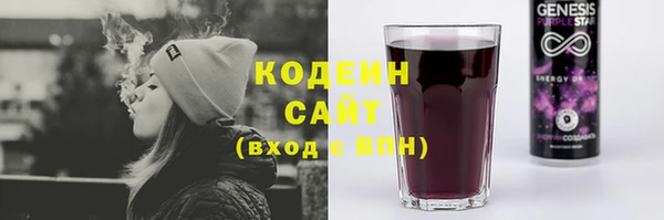 spice Няндома