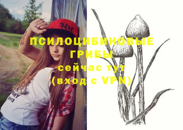 винт Нягань