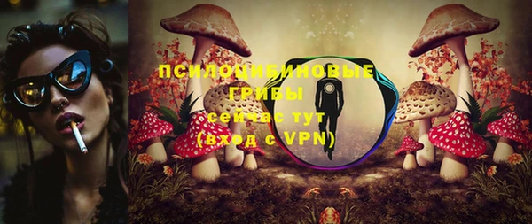 крисы Белоозёрский