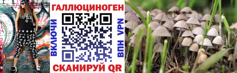 магазин продажи наркотиков  мориарти наркотические препараты  Галлюциногенные грибы GOLDEN TEACHER  Жирновск 